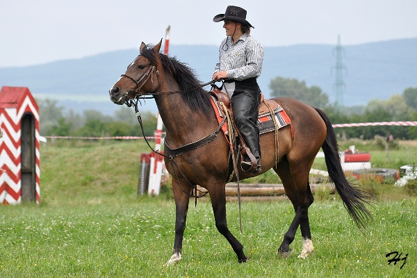 Keywords: koně   western