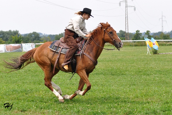 Keywords: koně   western