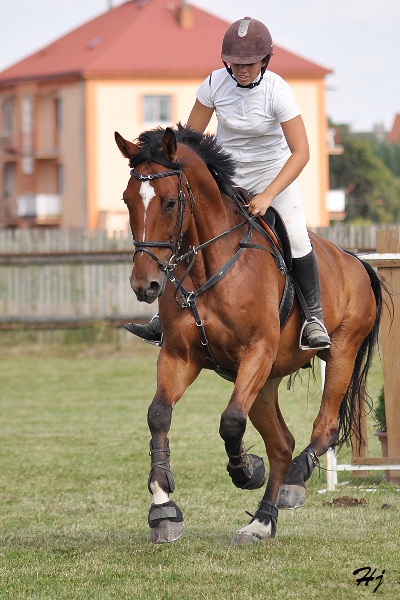 Simona Horáková a AFRAM
Sportovní stáj RENOSPORT
Keywords: koně   parkur