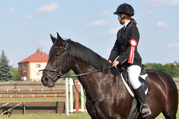 Silvie Zelinková a POMNĚNA
3. místo
Keywords: koně   parkur