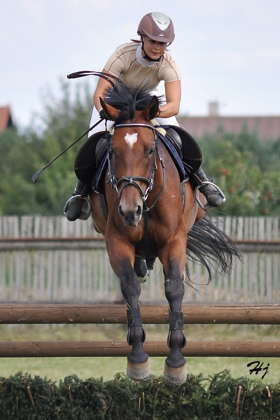 Simona Sviteková a SALONIKÉ
Sportovní stáj Vittoria
Keywords: koně   parkur