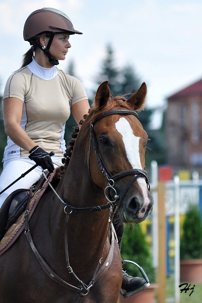 Simona Sviteková a SALOME 6
Sportovní stáj Vittoria
Keywords: koně   parkur