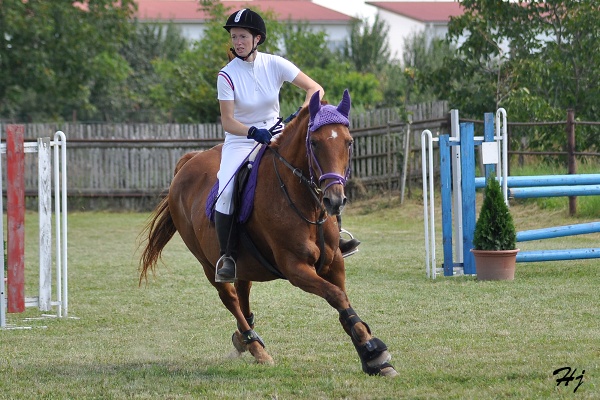 Lenka Žitná a JISKRA
Sportovní stáj Vittoria
Keywords: koně   parkur