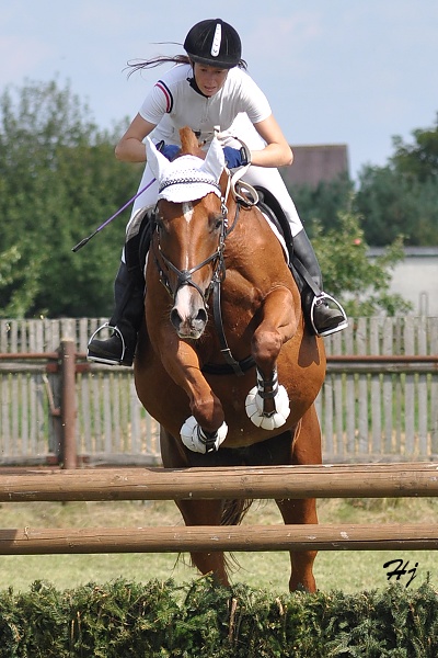 Lenka Žitná a IRIS 2
Sportovní stáj Vittoria
Keywords: koně   parkur